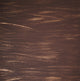 Tuscany Wall Bracket, Old Bronze