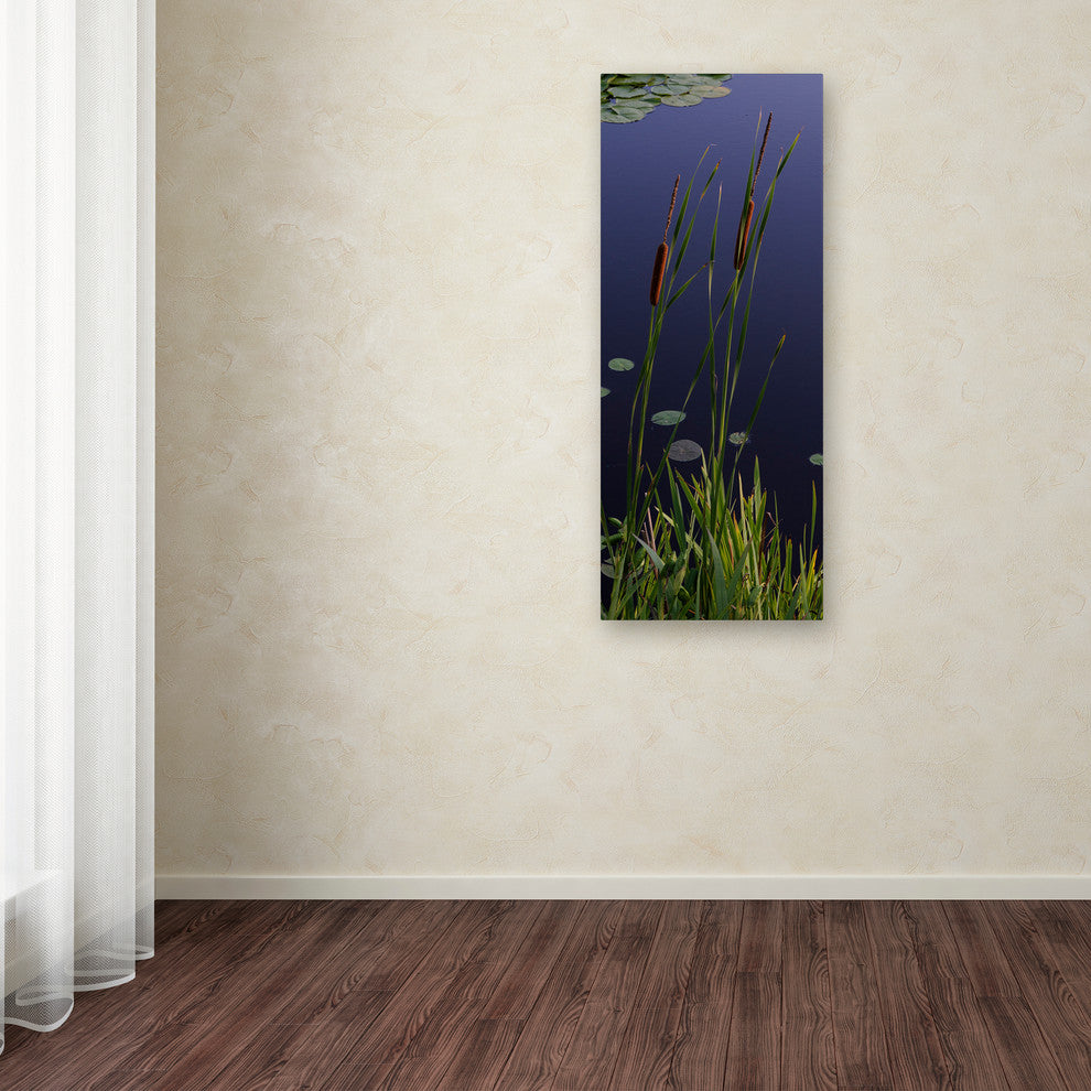 ''Long Cattails'' Canvas Art by Kurt Shaffer