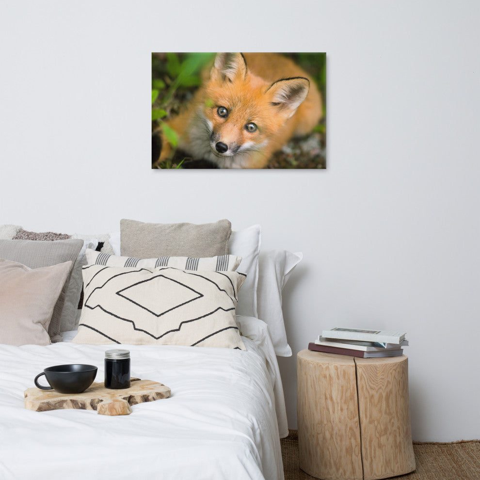 Young Red Fox Face Animal Wildlife Nature Photograph Canvas Wall Art Prints, 24" X 36"