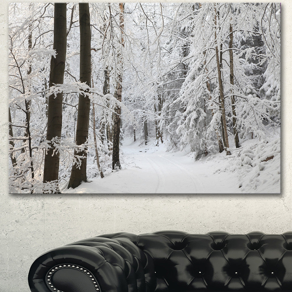 Dense Winter Forest and Lane, Large Forest Canvas Art Print, 40"x30"