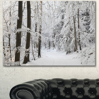 Dense Winter Forest and Lane, Large Forest Canvas Art Print, 40"x30"