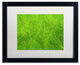 Cora Niele ''Leaf Texture VII'' Matted Framed Art