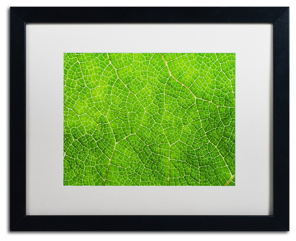 Cora Niele ''Leaf Texture VII'' Matted Framed Art