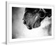Marmont Hill, "Muzzle" Framed Painting Print, 30x20