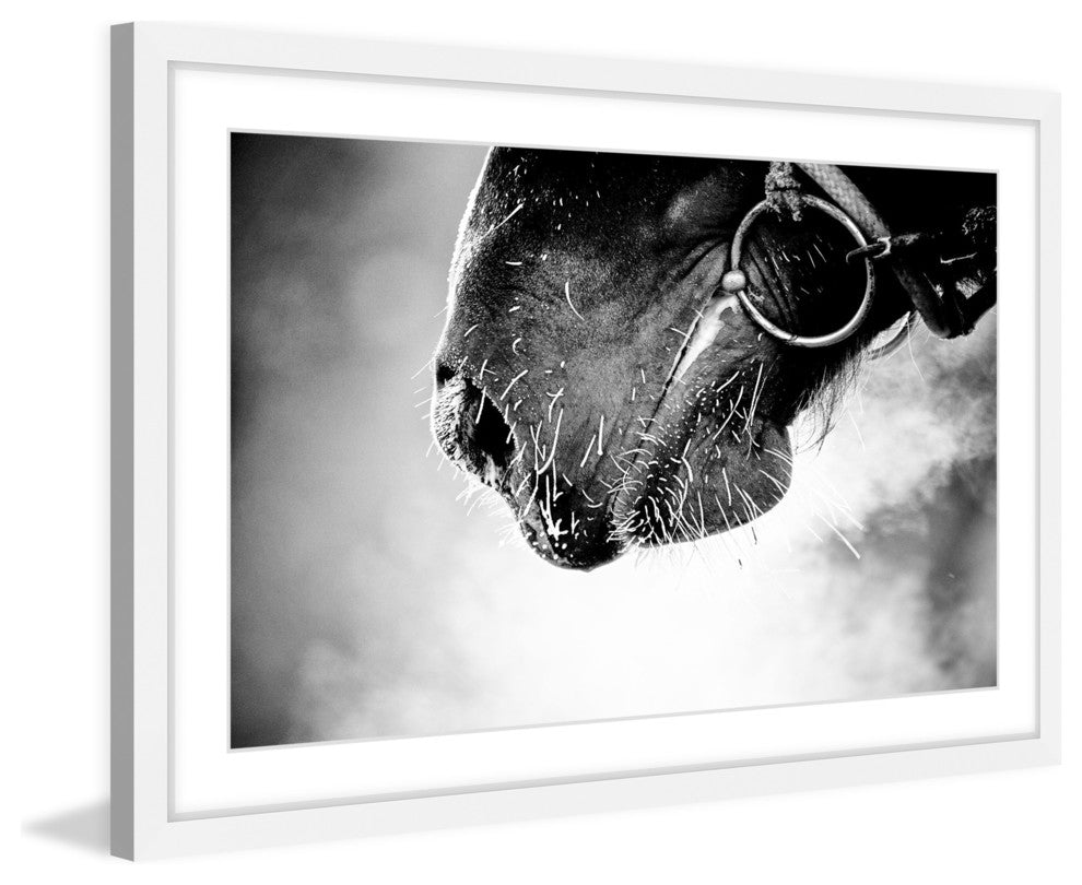 Marmont Hill, "Muzzle" Framed Painting Print, 30x20