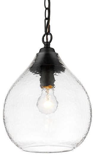 Golden Lighting 1094-S-HCG Ariella 10"W Mini Pendant - Matte Black / Seafoam