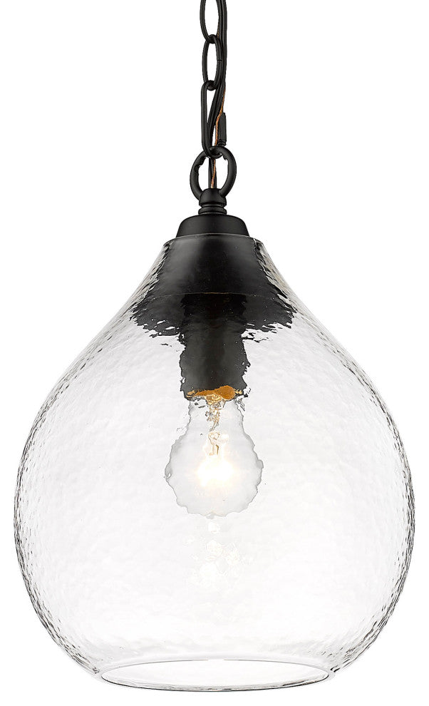 Golden Lighting 1094-S-HCG Ariella 10"W Mini Pendant - Matte Black / Seafoam