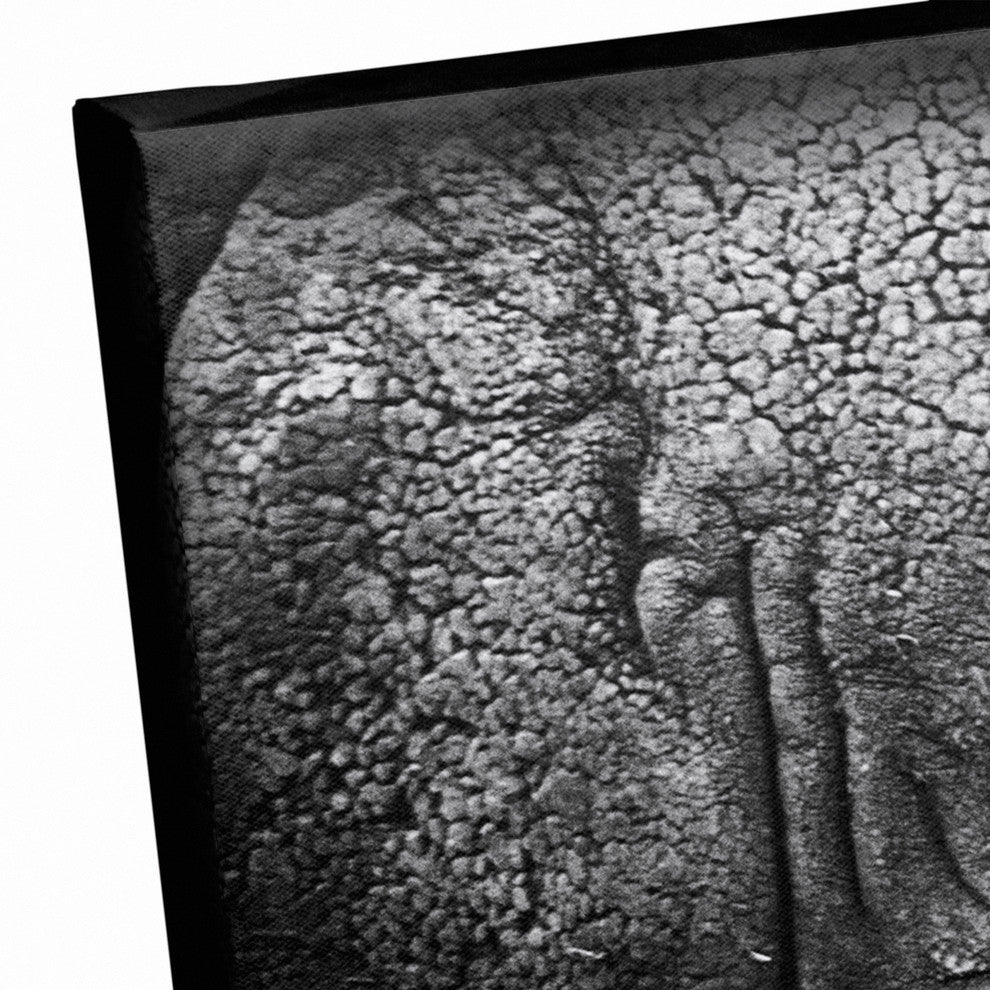 Elephant Skin Texture Print on Canvas