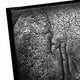 Elephant Skin Texture Print on Canvas