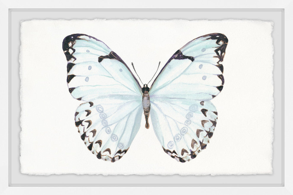 "Translucent Blue Wings" Framed Painting Print, 24"x16"