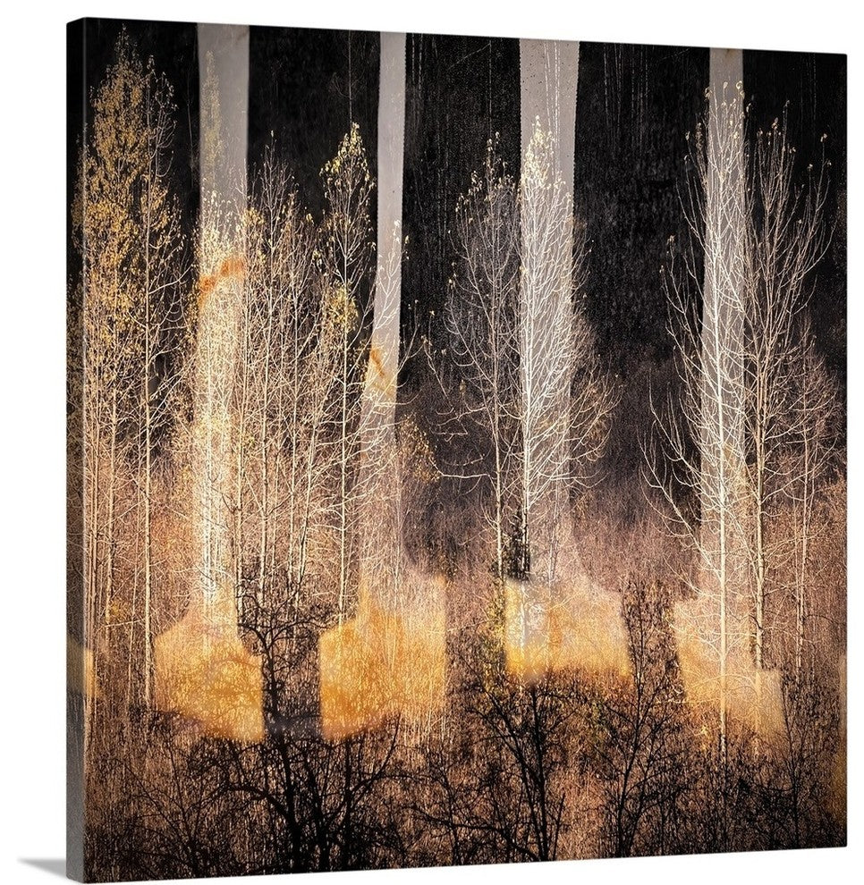 "Fall Song" Wrapped Canvas Art Print, 16"x16"x1.5"