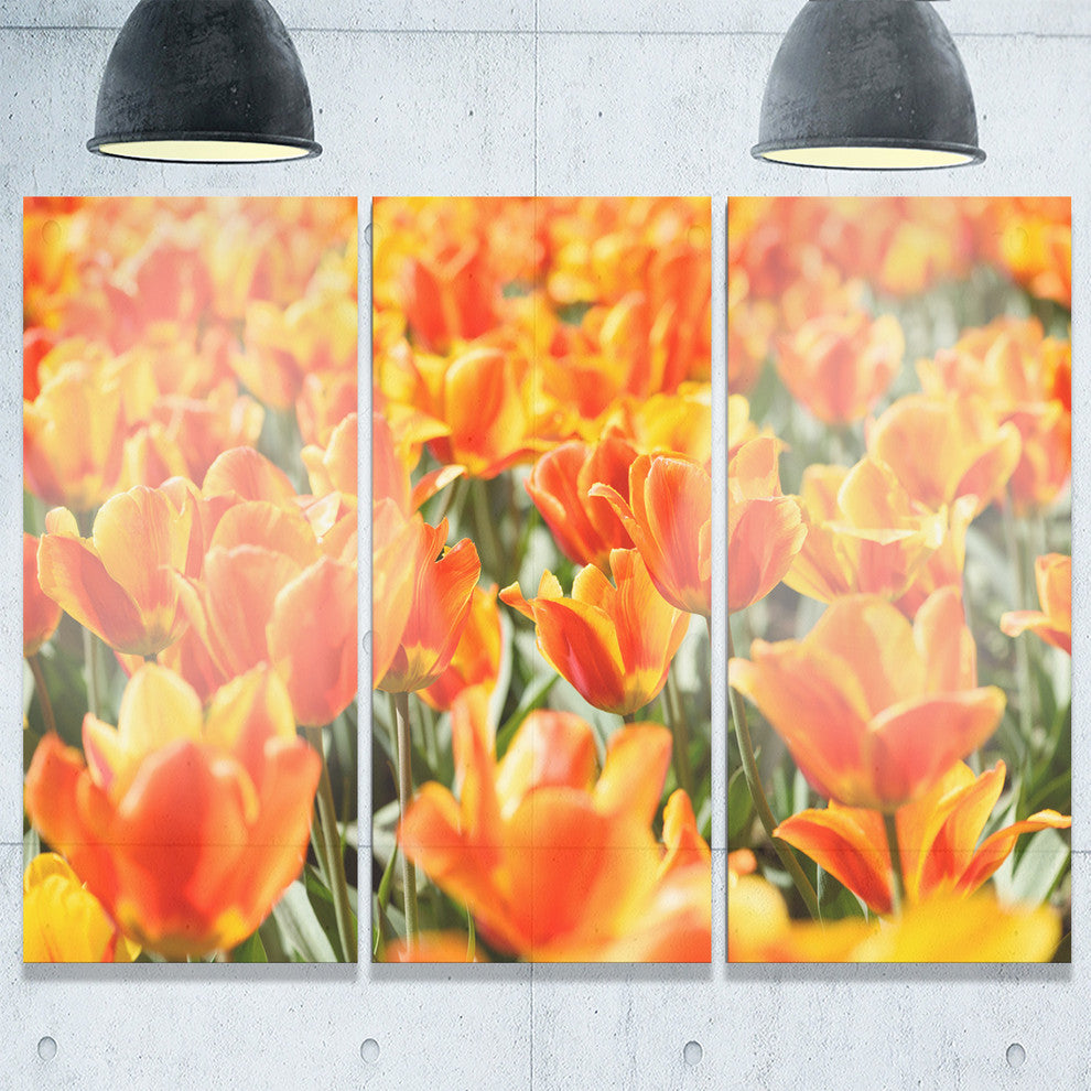 "Fresh Tulip Flowers on Sunny Day" Metal Wall Art, 3 Panels, 36"x28"