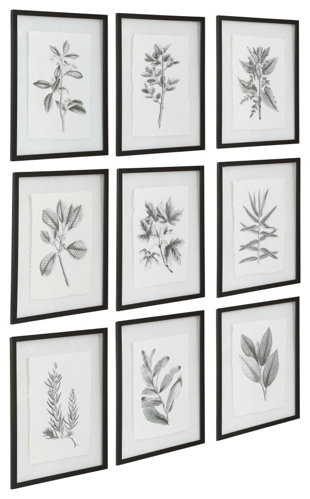 9-Piece Botanical Black and White Floral Print Set, Wall Art, Leaves