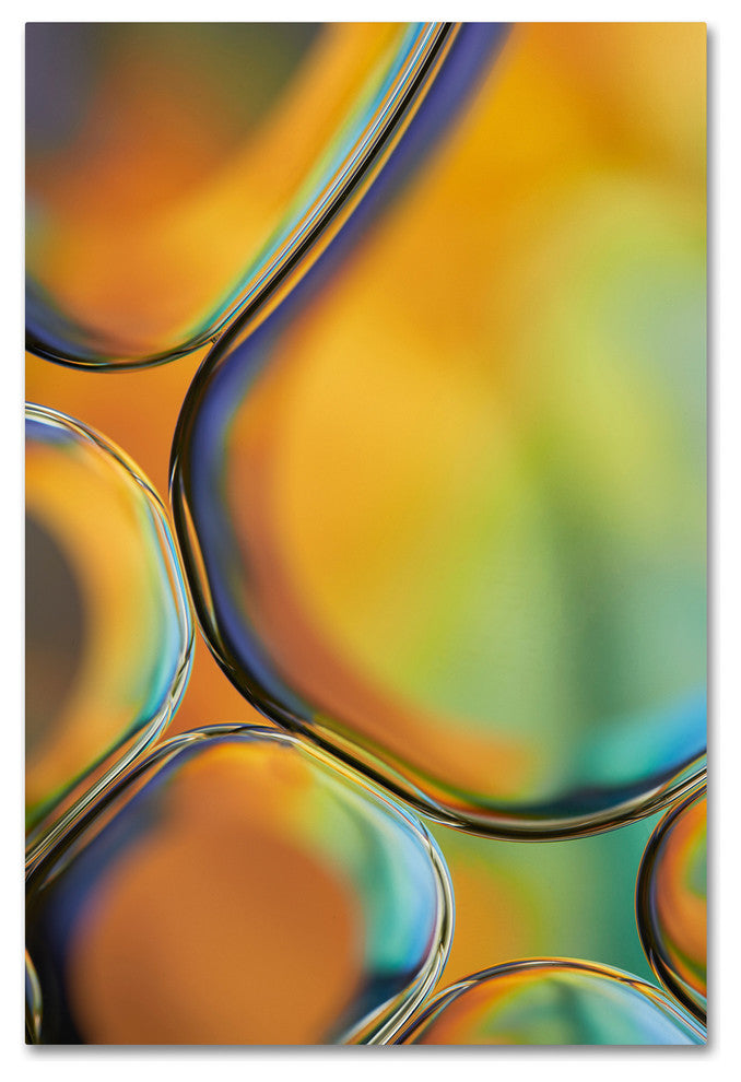 Cora Niele ''Orange Drops'' Canvas Art