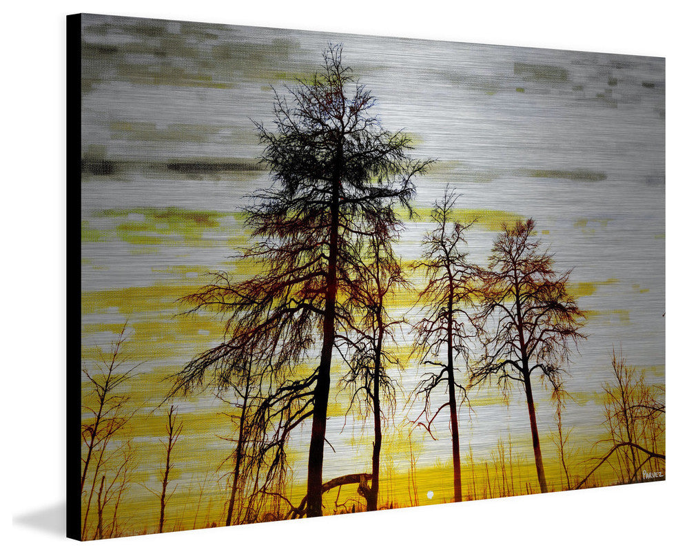 "Trees Against Gold Sky" Print on Brushed Aluminum, 36"x24"