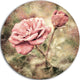 Vintage Pink Roses With Water Drops, Floral Round Wall Art, 23"