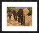 "Herd of African Elephants, Kenya" Framed Digital Print by Anonymous, 24x20"