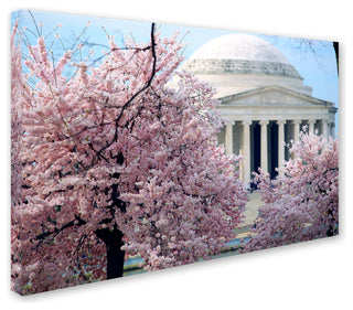 'Cherry Blossoms 2014-7' Canvas Art by CATeyes