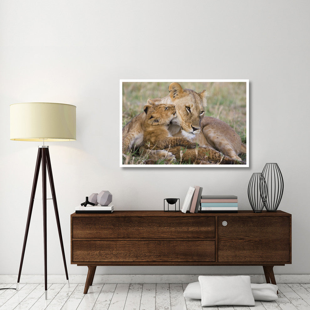 "Lion mother and young cubs, Masai Mara National Reserve" Paper Art, 50"x34"
