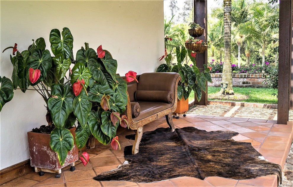 Dark Brindle Brazilian Cowhide Rug, X Large