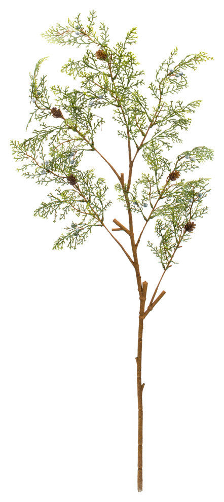 Cedar Spray, 6-Piece Set