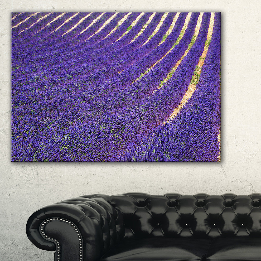 "Lavender Blooming Fields As Texture" Landscape Wall Art, 40"x30"