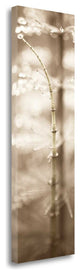 "Florison - 94" By Alan Blaustein, Giclee Print on Gallery Wrap Canvas