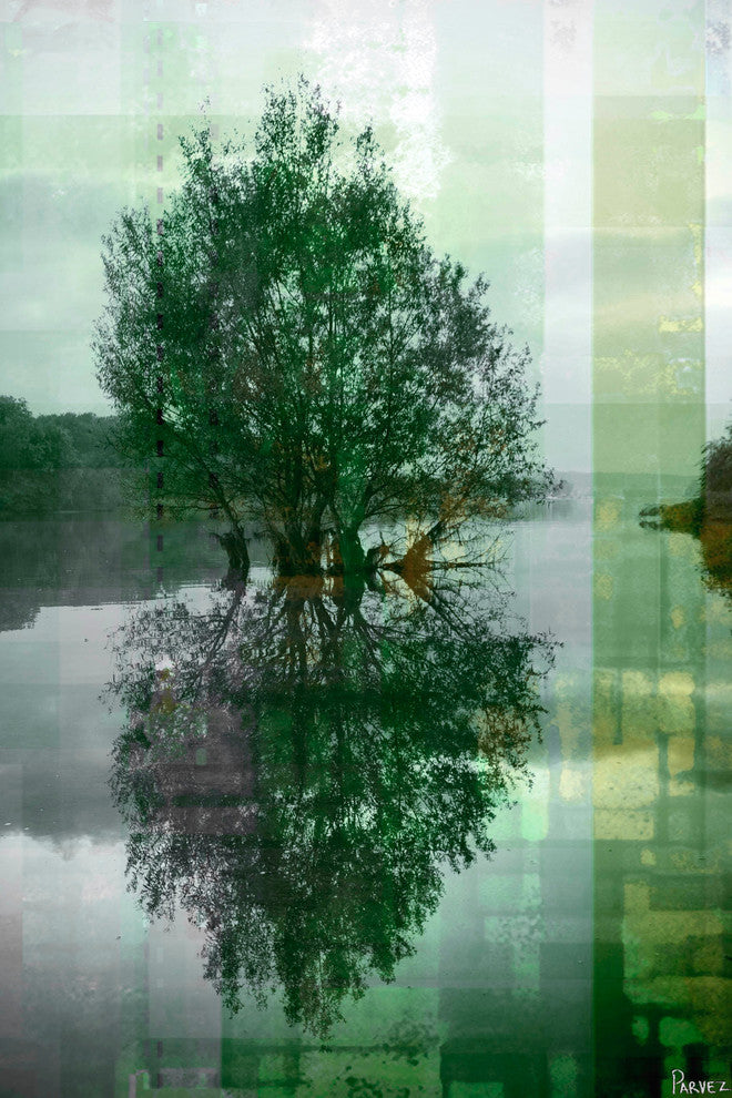 "Reflective" Fine Art Canvas Print, 24"x36"