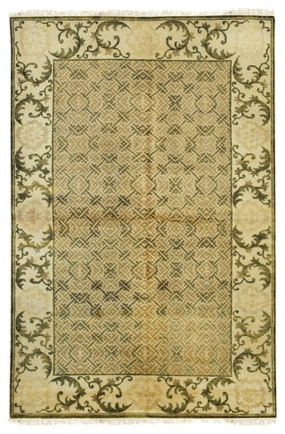 Green Transitional All Over Ningxia Area Rug