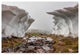Pierre Leclerc 'Rainier Glacier' Canvas Art, 24"x16"