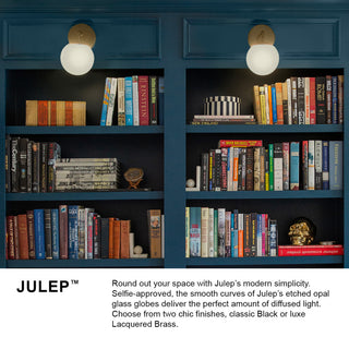 Lark Julep Bathroom Vanity Light, Black, 1 Light