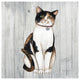 "Country Kitty III on Wood" Digital Paper Print by David Carter Brown, 32"x32"
