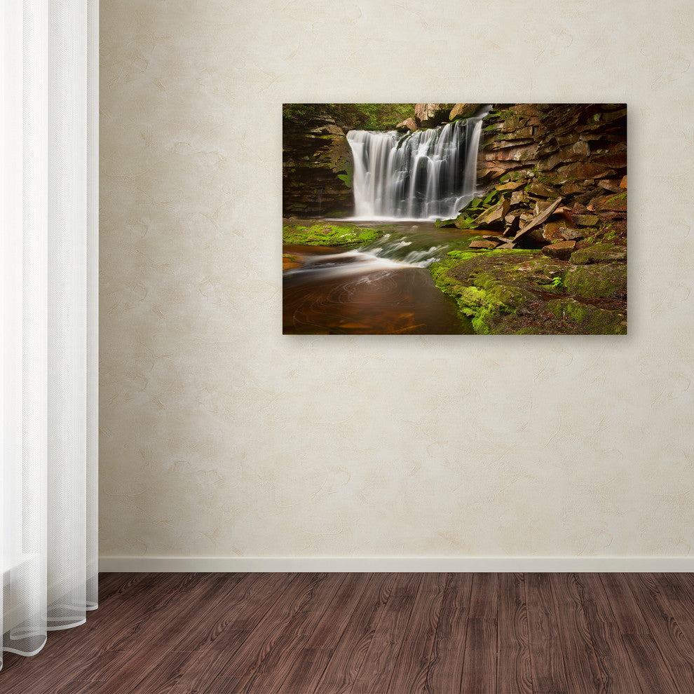 Michael Blanchette Photography 'Elakala Falls' Canvas Art, 24x16