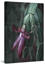 "Time Infusion" Painting Print on Canvas by Robertson