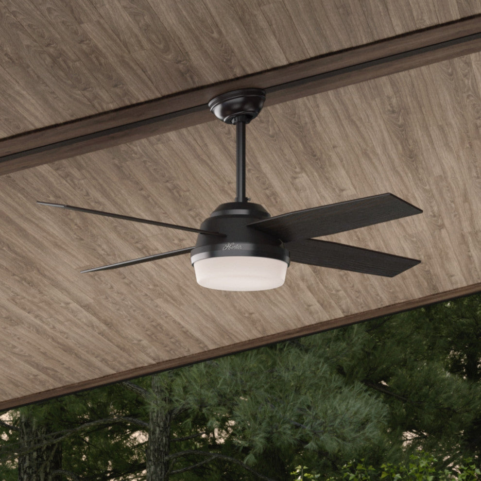 Hunter Fan Company 52" Dempsey Damp Matte Black Ceiling Fan With Light/Remote