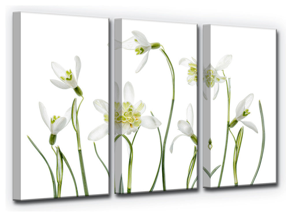 Ready2HangArt ''Spring Snowdrops'' 3-Piece Canvas Wall Decor Set, 36"x24"