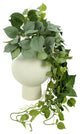 Ivy Arranged in Round Ceramic Vase