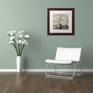 Alan Blaustein 'Hampton Magnolia II' Art, Wood Frame, White Mat, 11x11