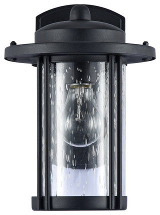 DOLAN Transitional 1 Light Black Outdoor Wall Sconce 11"