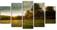 Beautiful Sunrise in the farm, Landscape Canvas Art Print, 60"x32", 5 Panels