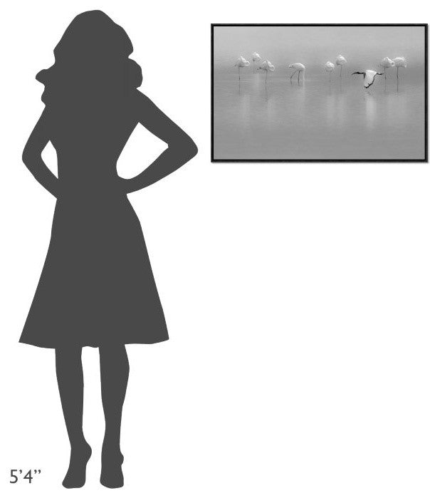 Shades Of Gray, 30"x19"