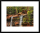 Cascades Tumbling 110 Feet At Emerald Pools, Zion National Park, Utah, 22"x18"