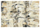 "Tone on Tone Crop" Digital Paper Print by Silvia Vassileva, 26"x18"