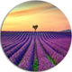 Lavender Flower Rows In Provence, Landscape Disc Metal Artwork, 11"
