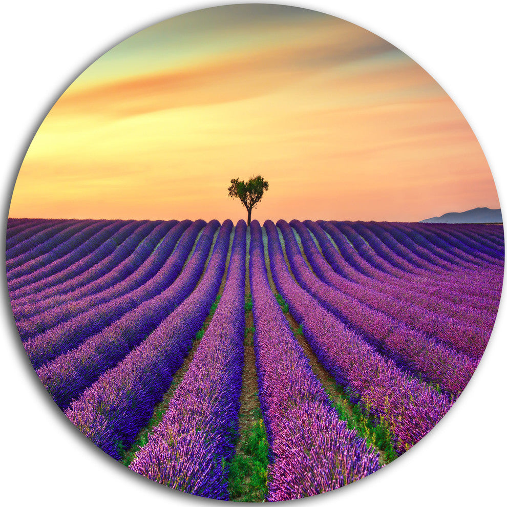 Lavender Flower Rows In Provence, Landscape Disc Metal Artwork, 11"