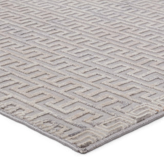 Baxley Geometric Gray/ Beige Area Rug 10'X14'