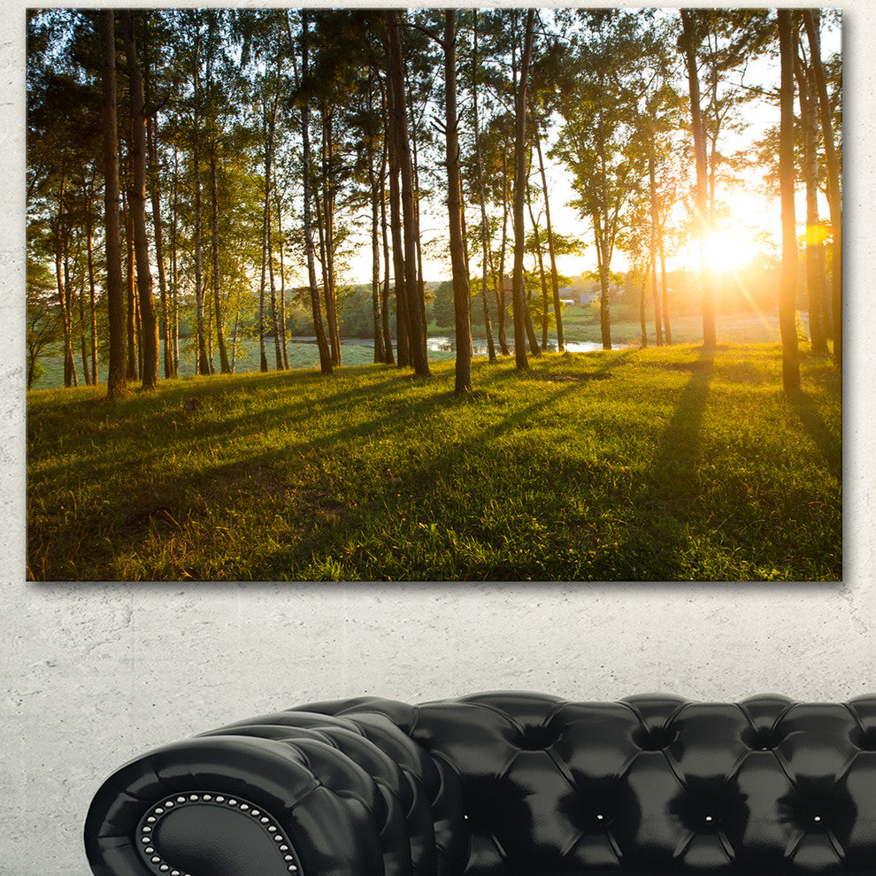 Bright Sunlight in Dense Forest, Large Landscape Canvas Art, 40"x30"