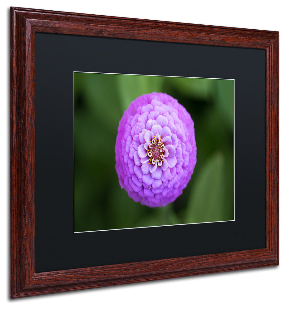 Jason Shaffer 'Purple Flower' Matted Framed Art, Wood Frame, Black Mat, 20x16