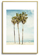 Bree Madden Venice Beach Palms Metal Framed Art Print