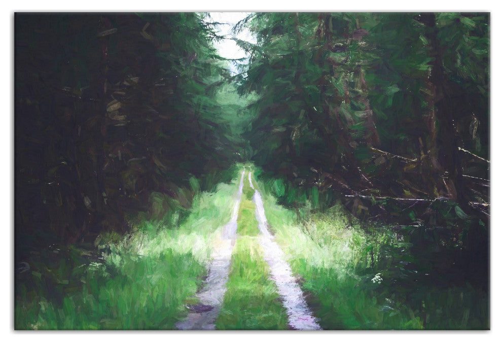 Dark Forest Path 30x20 Canvas